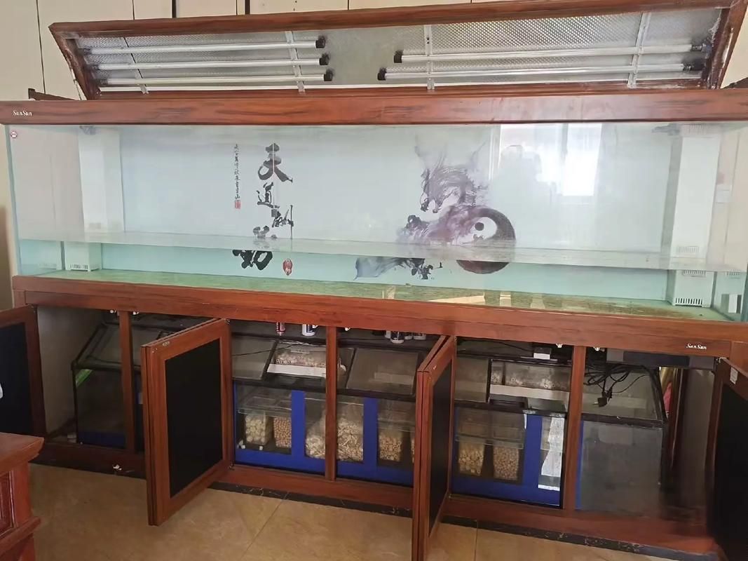 彩蝶和森森哪個更耐用？