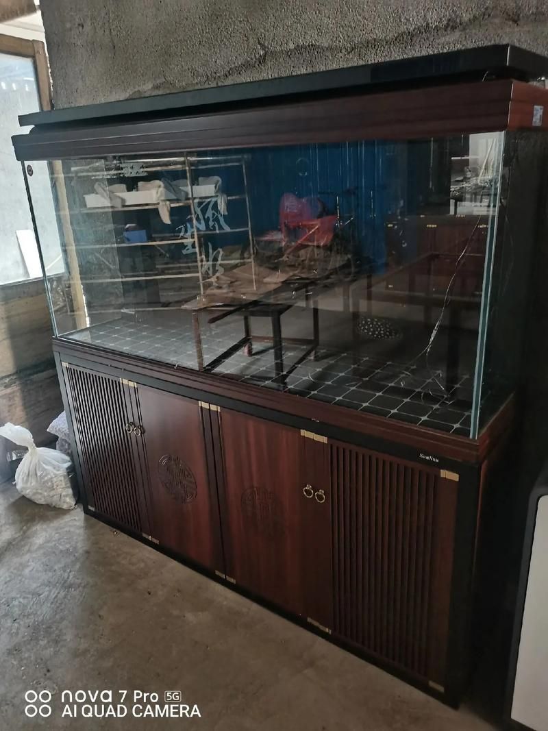 彩蝶和森森哪個更耐用？