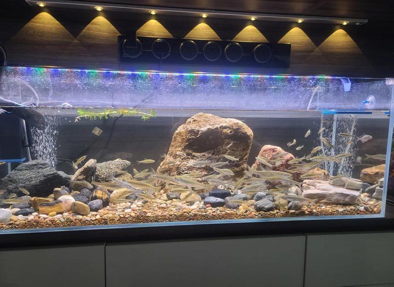 這些品牌魚(yú)缸的價(jià)格范圍是多少，不同品牌魚(yú)缸價(jià)格范圍是多少不同品牌魚(yú)缸的價(jià)格范圍是多少