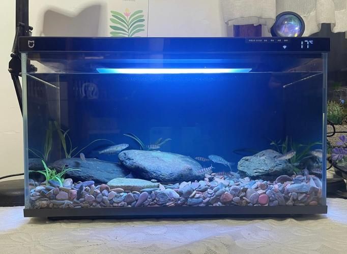 這些品牌魚(yú)缸的價(jià)格范圍是多少，不同品牌魚(yú)缸價(jià)格范圍是多少不同品牌魚(yú)缸的價(jià)格范圍是多少