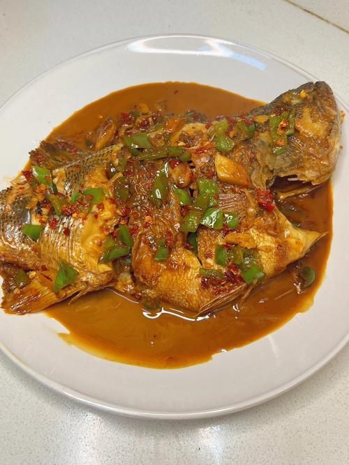 有哪些魚(yú)皮保護(hù)技巧