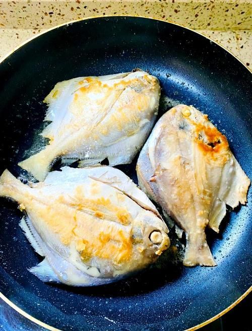 有哪些魚(yú)皮保護(hù)技巧