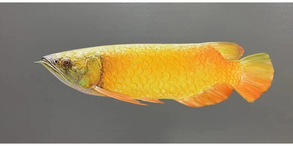 如何區分不同風格的金龍魚油畫，如何區分金龍魚油畫