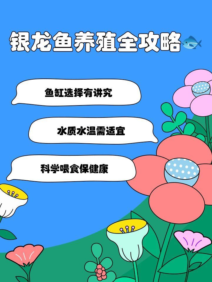40公分銀龍魚需要多大的魚缸，銀龍魚養(yǎng)殖全攻略