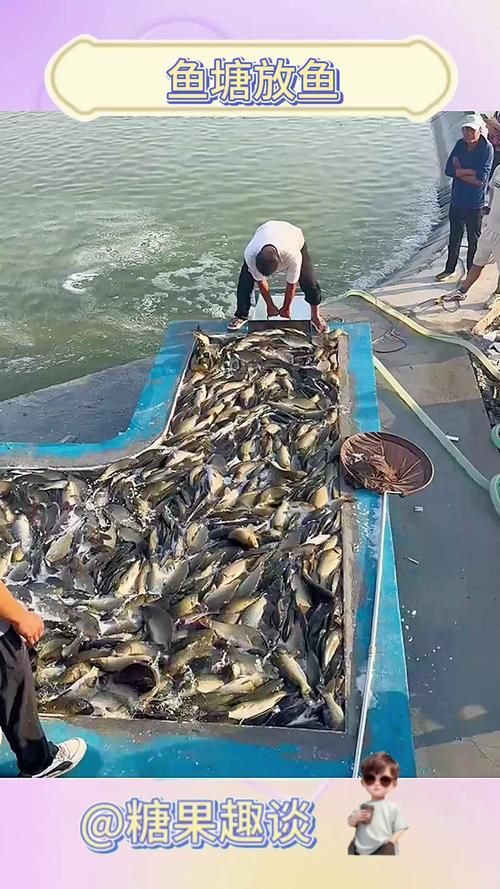 如何聯(lián)系曹妃甸的龍魚供應(yīng)商？，唐山市曹妃甸區(qū)龍魚供應(yīng)商需結(jié)合實(shí)體對(duì)接、線上渠道與合規(guī)流程