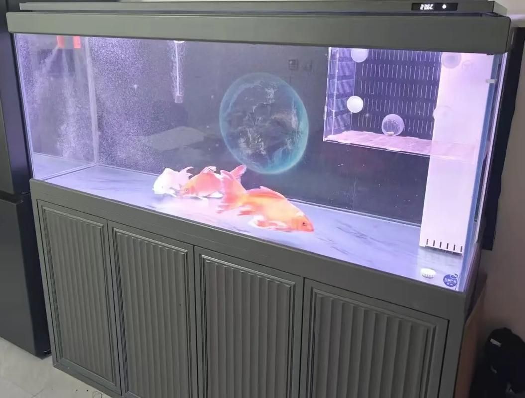 給我推薦幾款森森的高端魚缸，森森高端魚缸