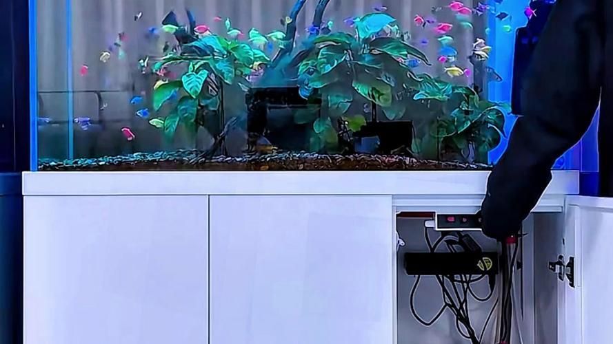 給我推薦幾款森森的高端魚缸，森森高端魚缸