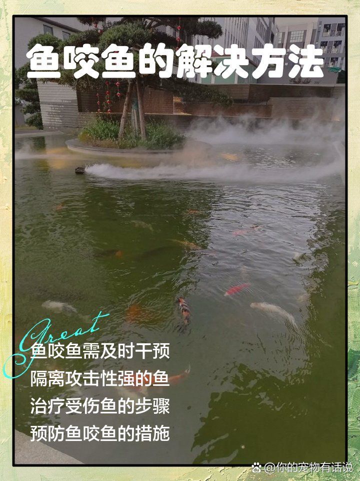 如何預防魚被咬傷，如何預防魚咬傷
