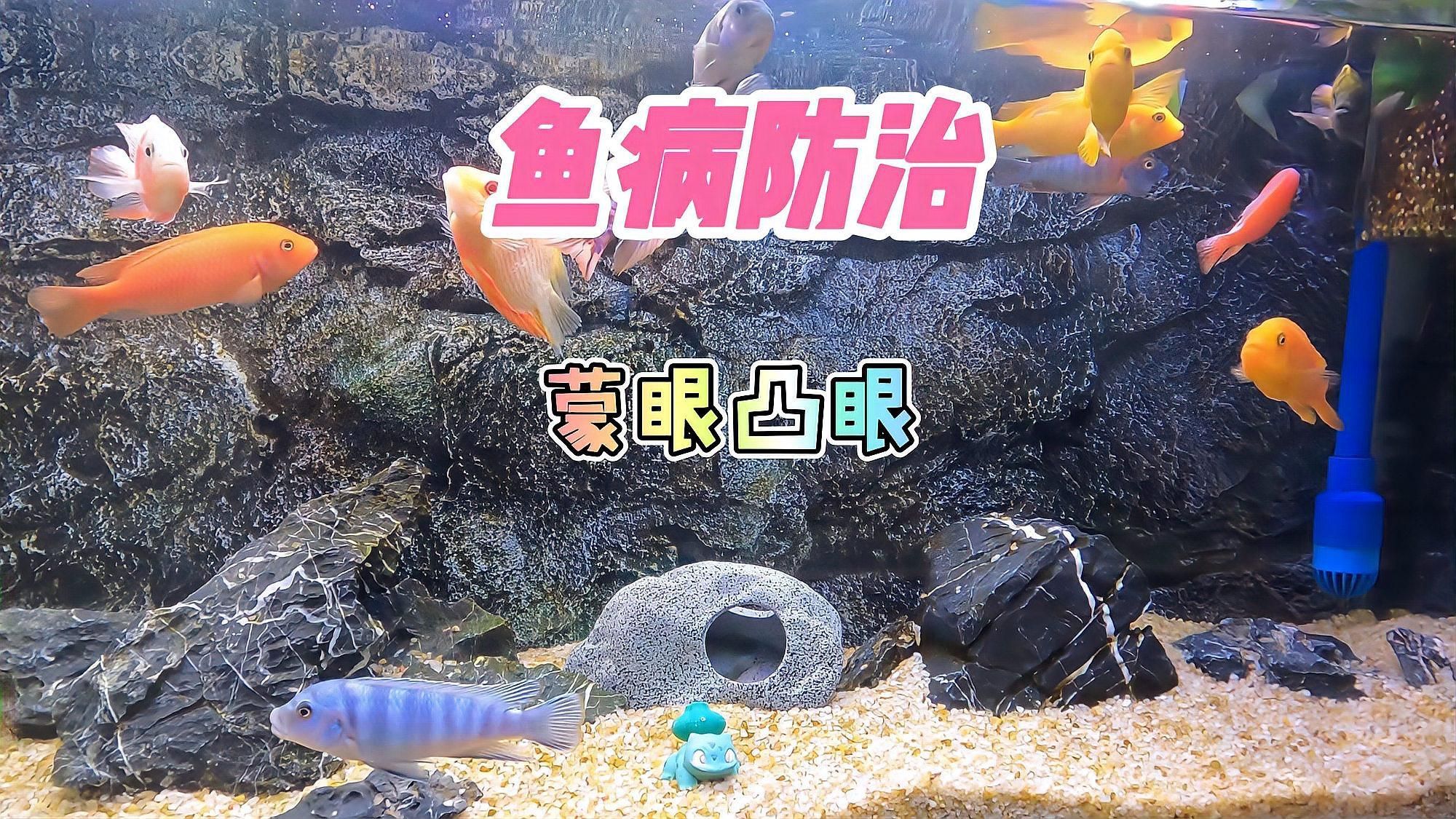 魚蒙眼如何治療