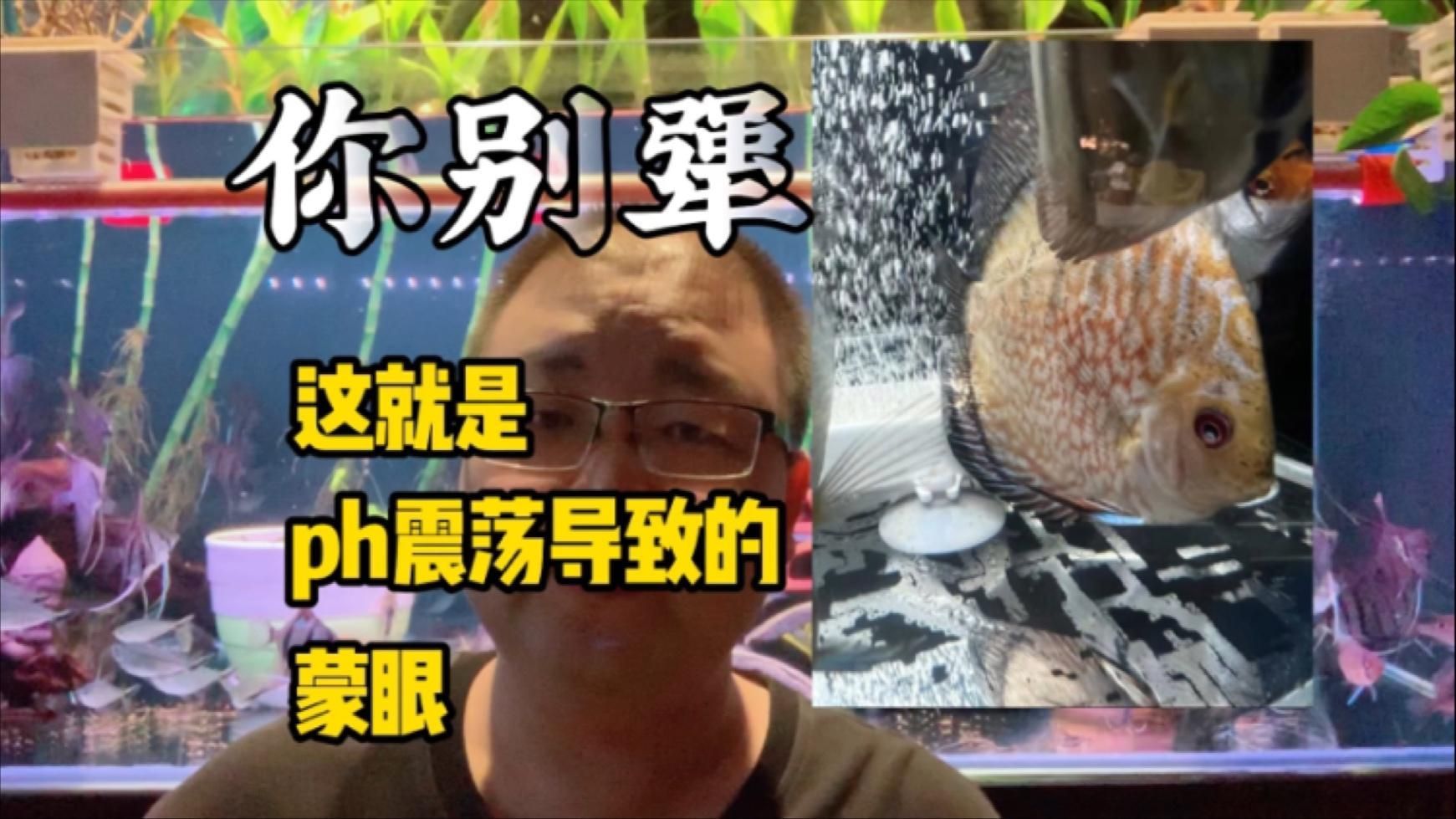 魚蒙眼如何治療