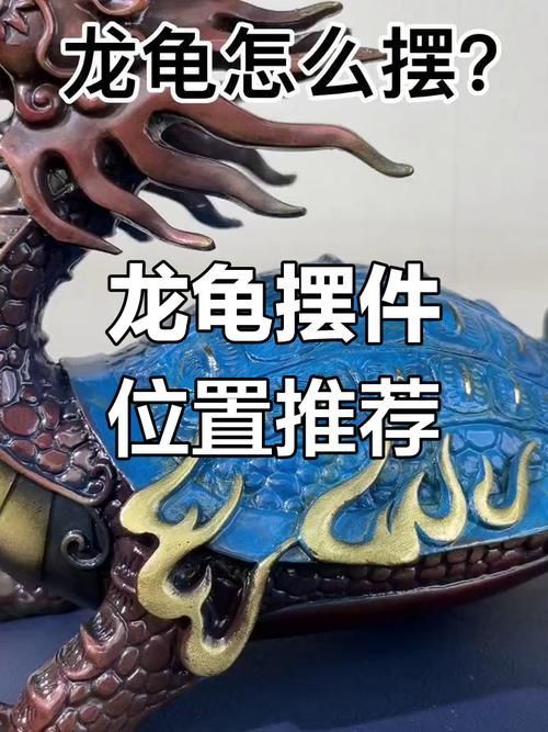 龍龜頭朝向正確圖有哪些實例，龍龜頭朝向正確圖