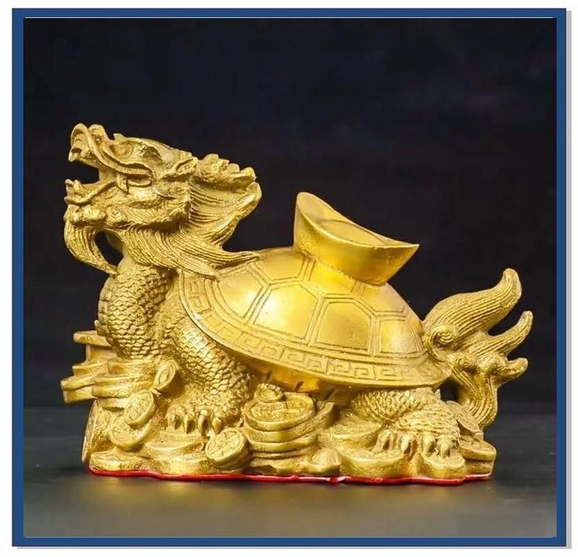 龍龜頭朝向正確圖有哪些實例，龍龜頭朝向正確圖