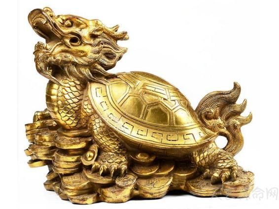 龍龜頭朝向正確圖有哪些實例，龍龜頭朝向正確圖