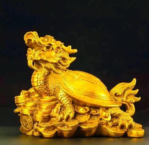 龍龜頭朝向正確圖有哪些實例，龍龜頭朝向正確圖