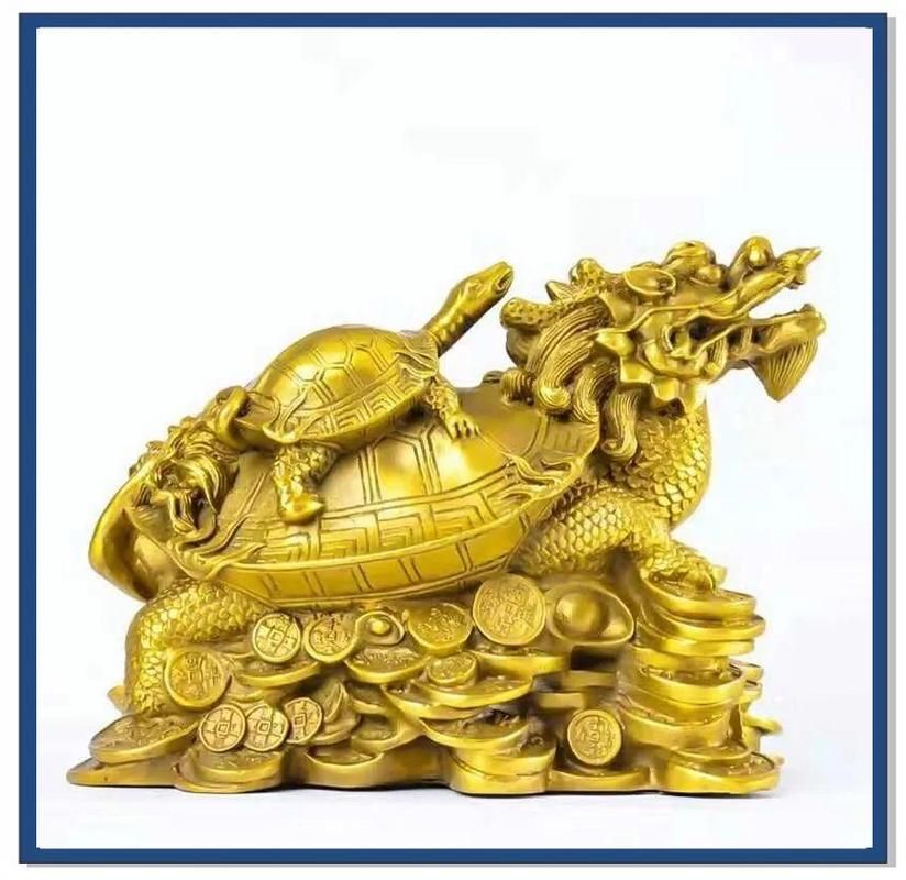龍龜頭朝向正確圖有哪些實例，龍龜頭朝向正確圖