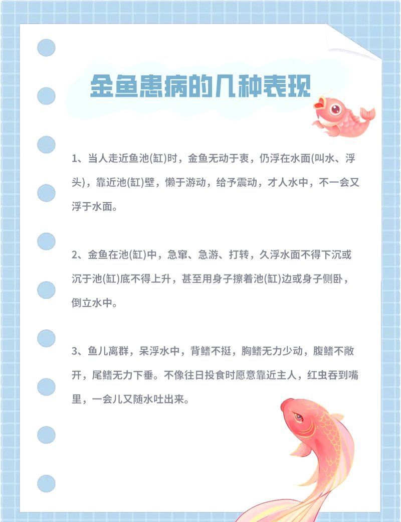 如何判斷金魚是否受傷，金魚受傷的判斷方法