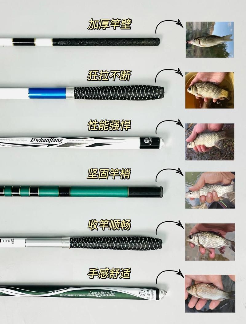 如何判斷釣魚竿的質量，釣魚竿材質判斷是確保釣魚活動成功與否的關鍵因素