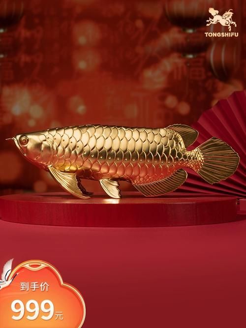 龍頭魚擺件有哪些知名品牌，龍頭魚擺件品牌有哪些