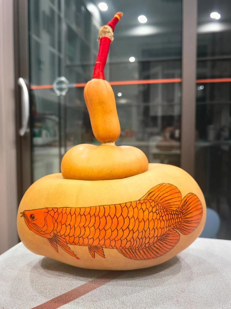 給我推薦一些招財龍魚的圖片，招財龍魚圖片欣賞
