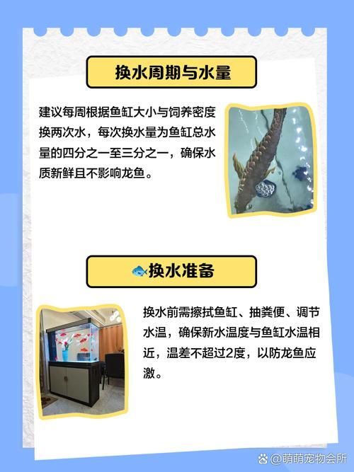 如何預防龍魚感染細菌，亞洲觀賞魚缸底濾水循環安裝圖解龍魚感染細菌感染細菌