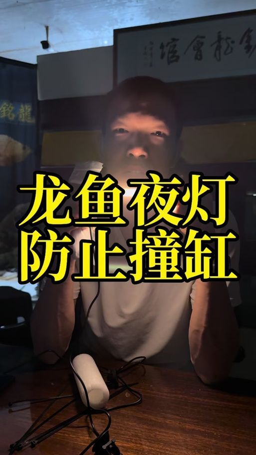 金龍魚和紅龍魚分別用什么燈發色？，金龍魚和紅龍魚分別用什么燈發色？紅龍魚和金龍魚發色需要多長時間？