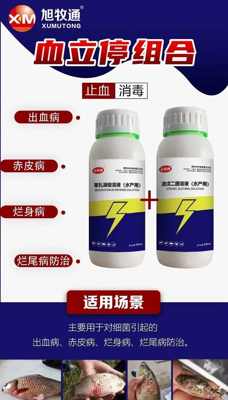 如何治療魚鰓腐爛，如何治療魚鰓腐爛，預防魚鰓腐爛