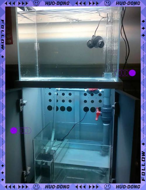 可麗愛和彩鰈哪個(gè)性價(jià)比更高？