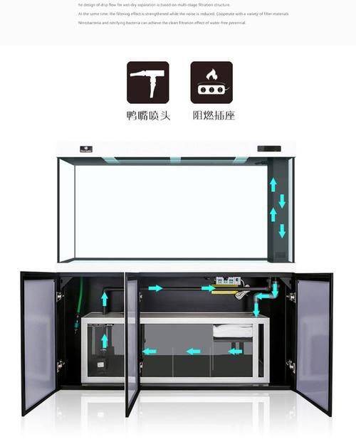 可麗愛和彩鰈哪個(gè)性價(jià)比更高？