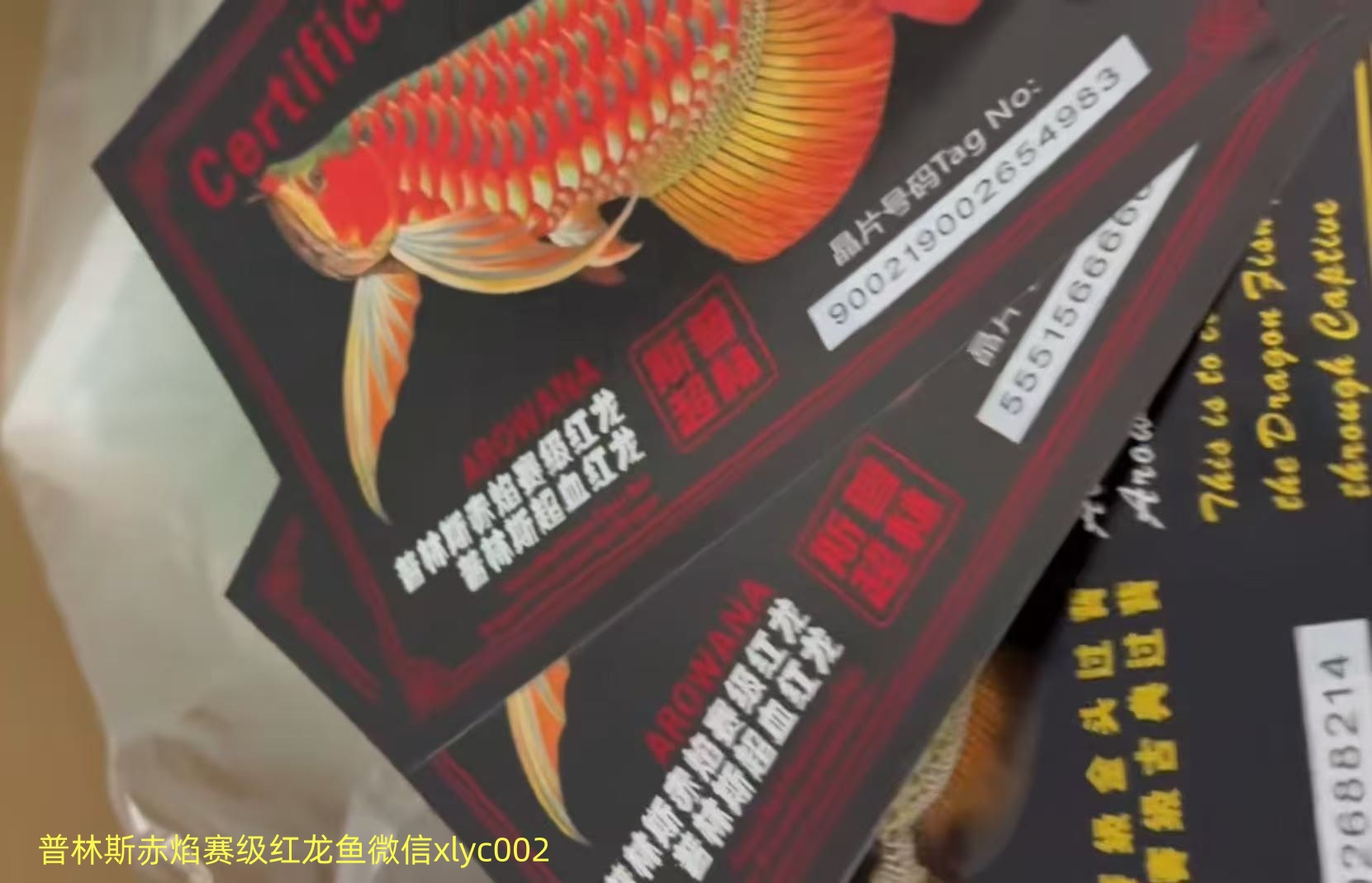 微信圖片_20260427115340_1503_10.jpg