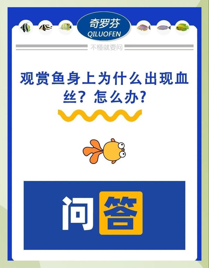 如何預防龍魚魚鰭出現血絲，如何預防龍魚鰭部出現血絲