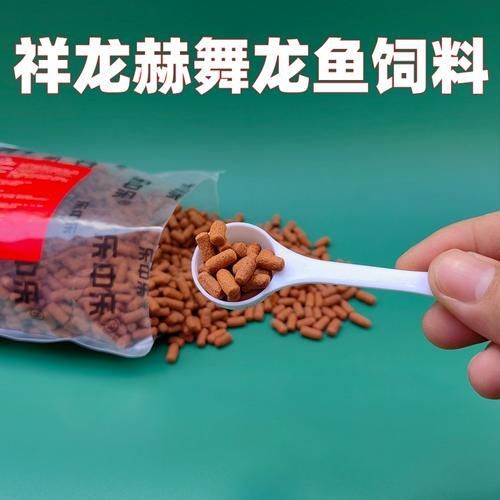 祥龍魚場魚糧的價格是多少？，祥龍魚場魚糧價格是多少？