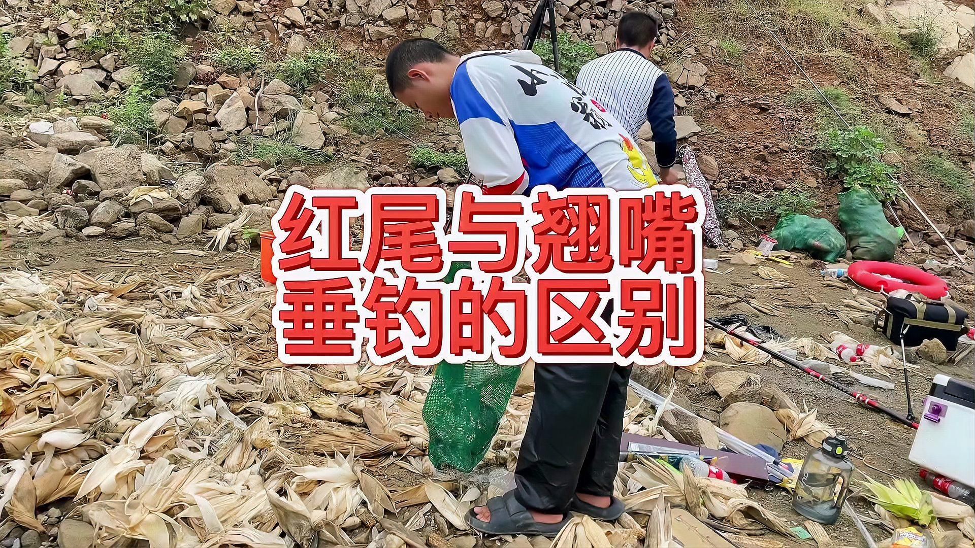 如何區分紅尾魚和翹嘴魚，如何區分紅尾魚和翹嘴魚紅尾魚和翹嘴魚哪個更有營養
