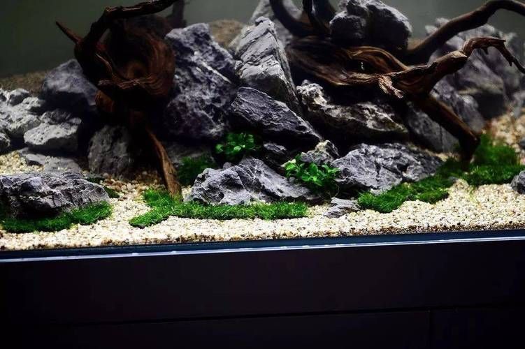 給我推薦一些適合1米5魚缸的裝飾品，1米5的魚缸裝飾品選購指南|*裝飾品選購指南