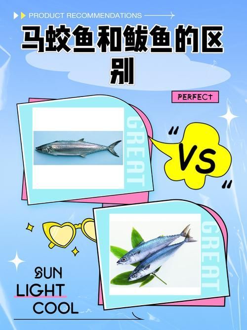 如何區分馬龍魚和海龍？