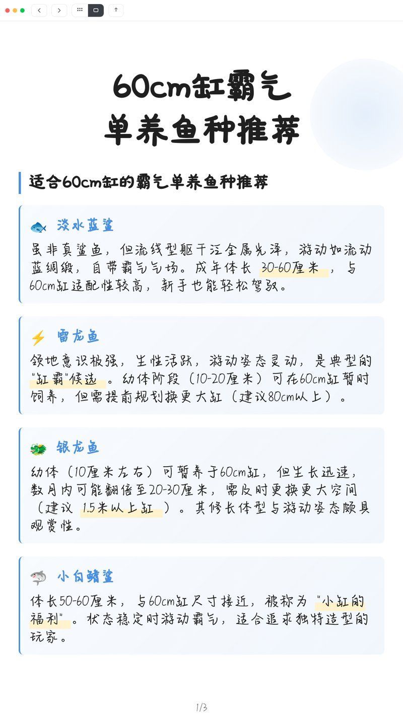 60缸十大最建議買的魚有哪些特點(diǎn)，60缸十大最建議買的魚種