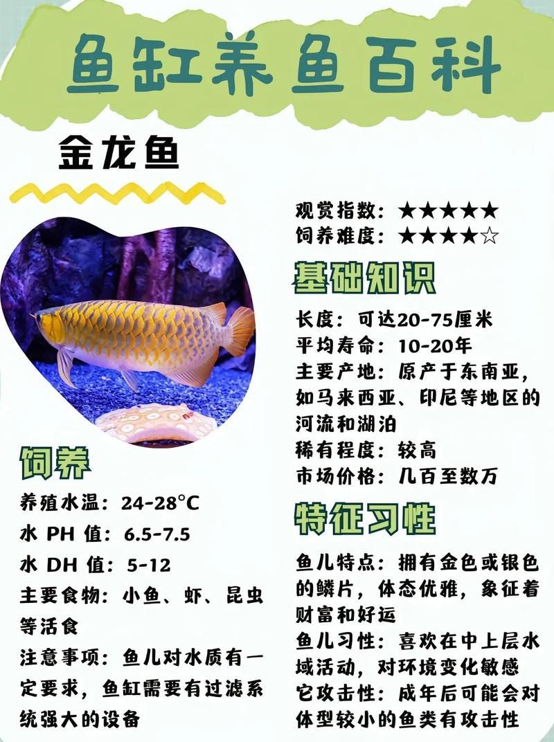 龍魚在珠海的養殖情況，珠海龍魚養殖規劃