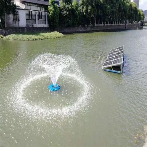 如何預防魚得水霉病，如何科學預防魚類水霉病