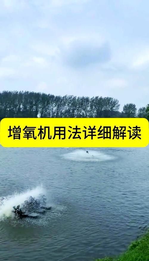 如何預防魚得水霉病，如何科學預防魚類水霉病
