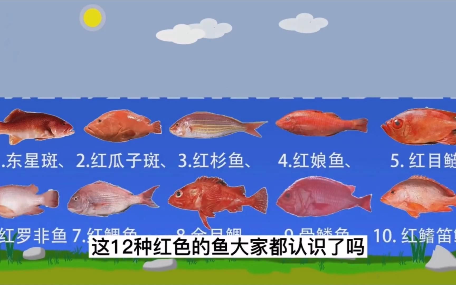 紅色魚有哪些種類，紅色魚有哪些種類紅色魚有哪些營養價值是多少