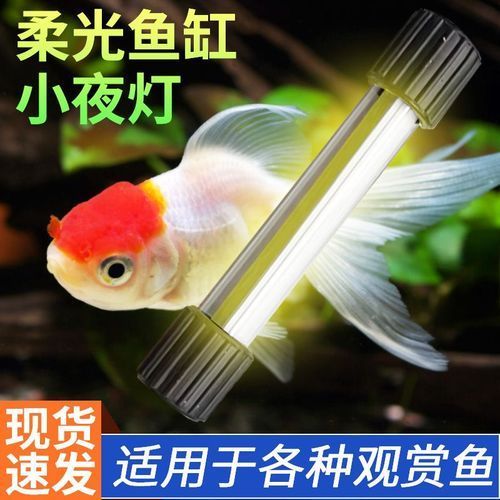 龍魚小夜燈開燈后多久關燈，龍魚小夜燈開燈后多久關燈，龍魚小夜燈應該多久關燈