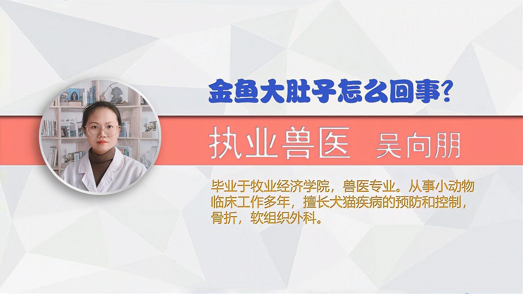 金魚肚子大怎么辦，金魚肚子大怎么辦，