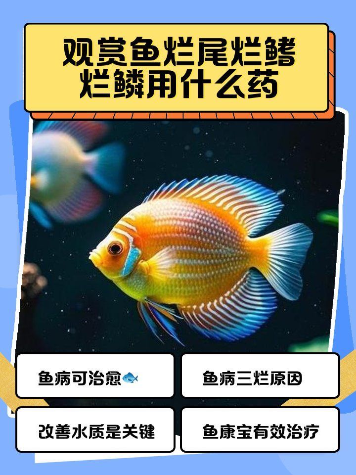 如何預(yù)防龍魚的爛鱗病和腸炎？，如何預(yù)防龍魚爛鱗病
