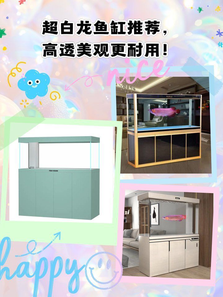 推薦幾款性價比高的龍魚飼養設備，性價比高的龍魚飼養設備