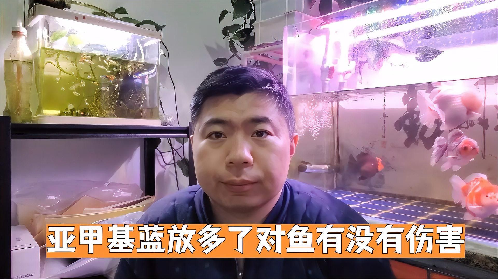 還有哪些藥物對龍魚鰓部有害？，龍魚的危害有哪些