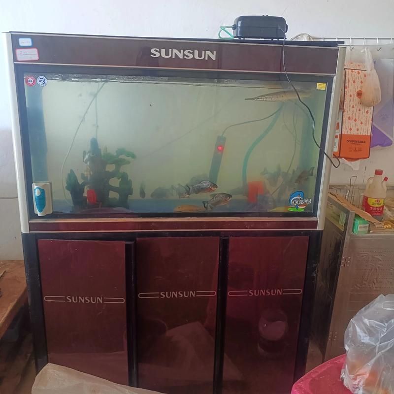 森森魚缸的質量如何？，森森魚缸怎么樣？