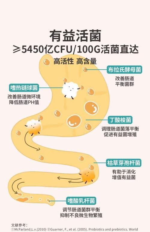 益生菌在腸炎預防中的作用，抗生菌在腸炎預防中的作用機制與臨床應用