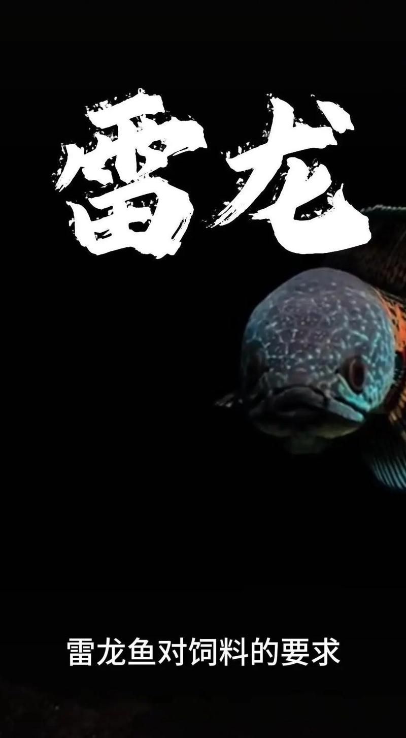 還有哪些雷龍魚的吃法