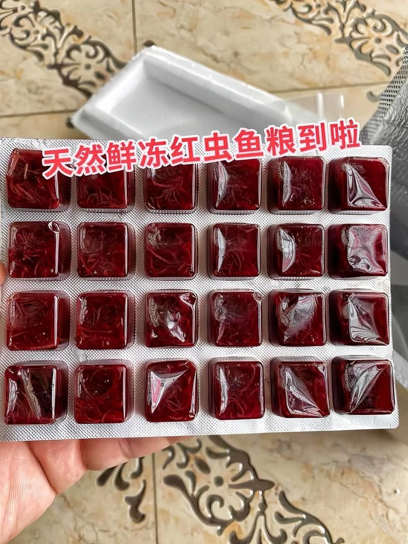 如何判斷紅龍魚飼料是否新鮮