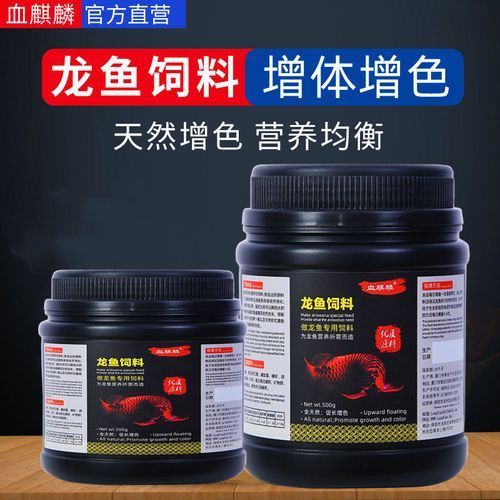 如何判斷紅龍魚飼料是否新鮮