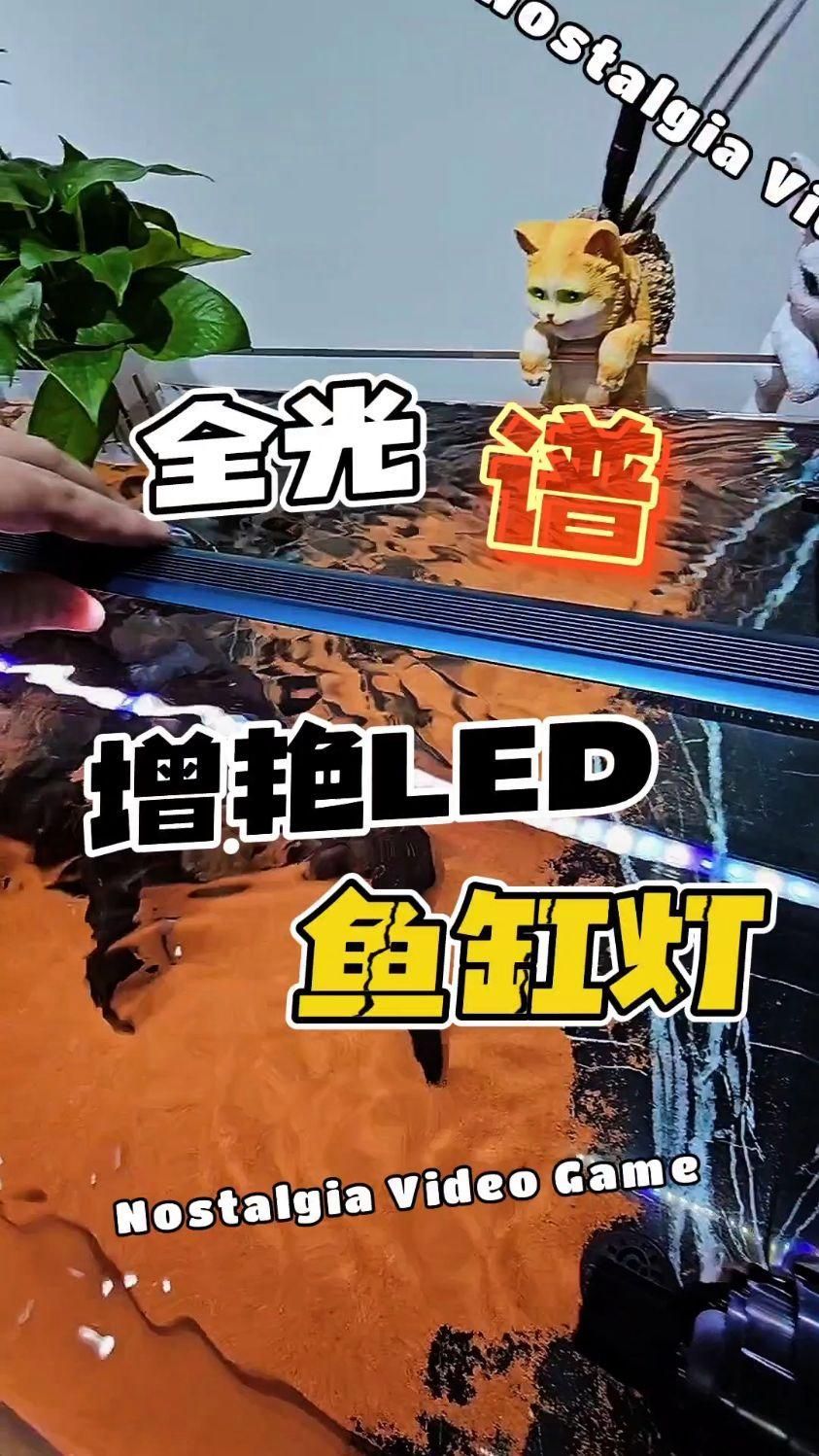 祥龍魚場推薦哪些性價(jià)比高的燈具，祥龍魚場推薦哪些性價(jià)比高的燈具祥龍魚場推薦